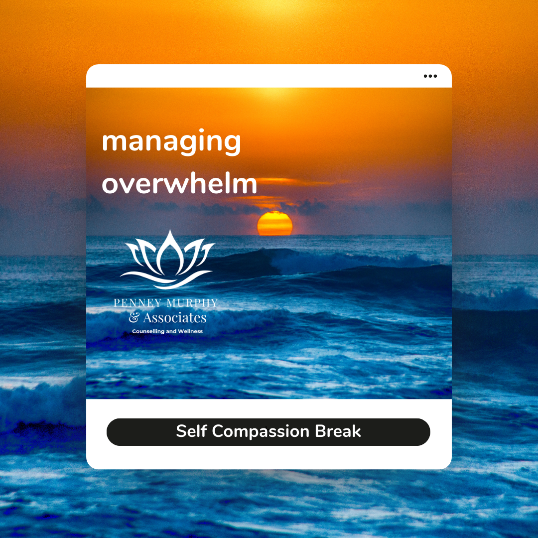 Overwhelm Counselling<br />
Counselling Saskatoon<br />
Counseling Saskatoon<br />
Penney Murphy & Associates Counselling and Wellness