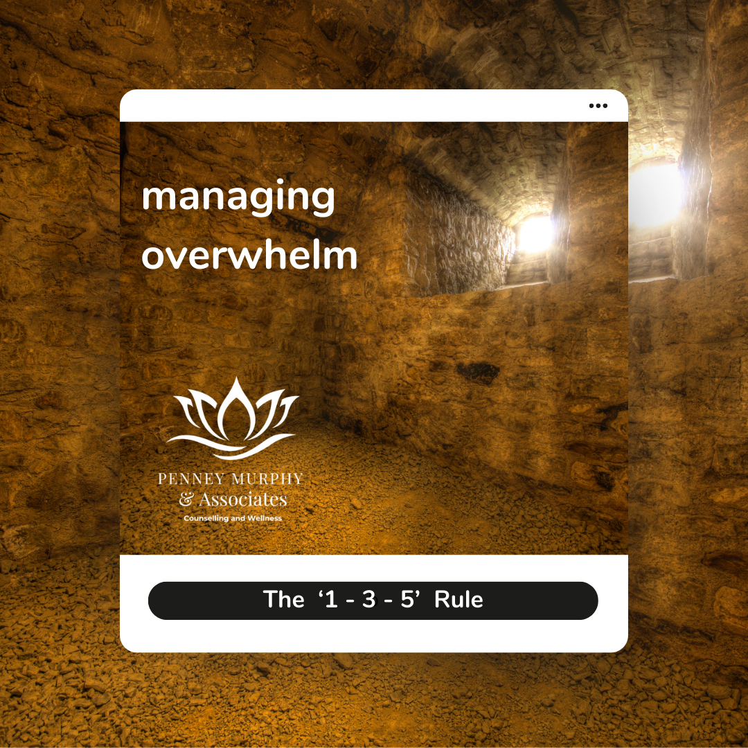 Counselling Saskatoon Counseling Saskatoon Penney Murphy & Associates Counselling and Wellness Stress, Overwhelm & Burnout Counselling Psychologists, Social Workers, Therapists, Registered Counsellors Saskatoon