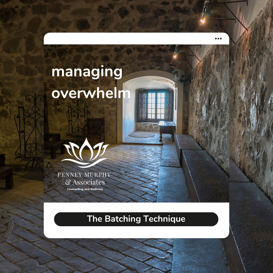 Counselling Saskatoon Counseling Saskatoon Penney Murphy & Associates Counselling and Wellness Stress, Overwhelm & Burnout Counselling Psychologists, Social Workers, Therapists, Registered Counsellors Saskatoon